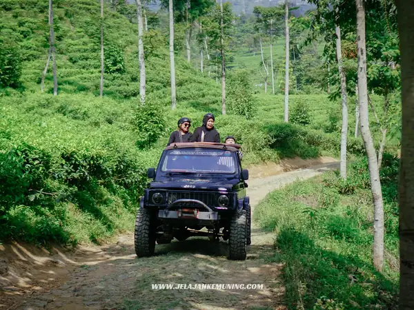 Kebun Teh Kemuning