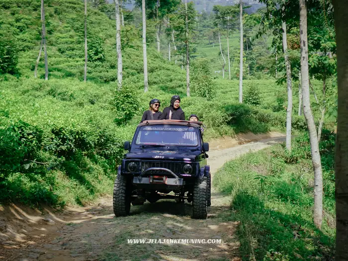 Paket Hemat Jeep 4